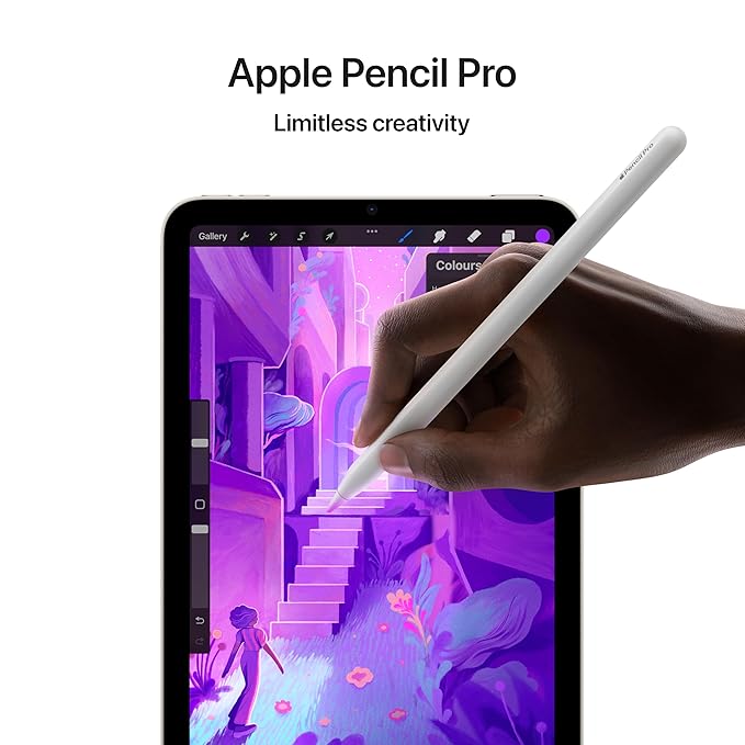 iPad Mini 256 Grey